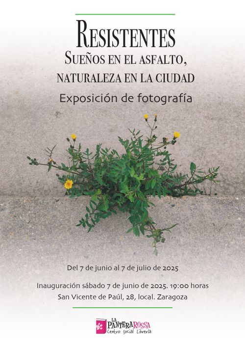 Inauguración exposición 'Resistentes' 