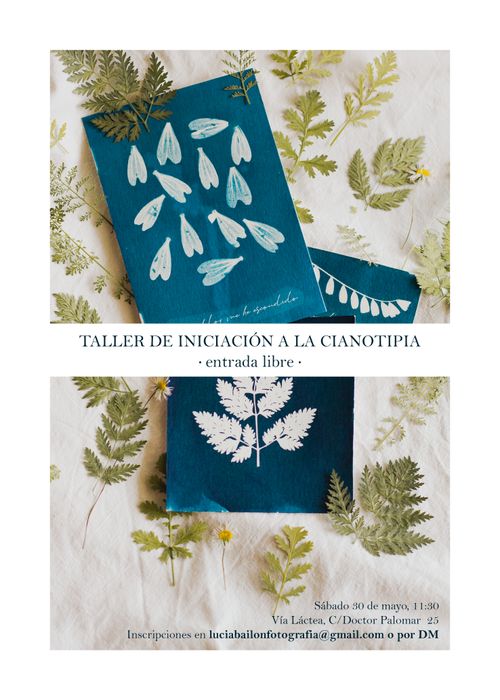 Taller de cianotipia con Lucía Bailón