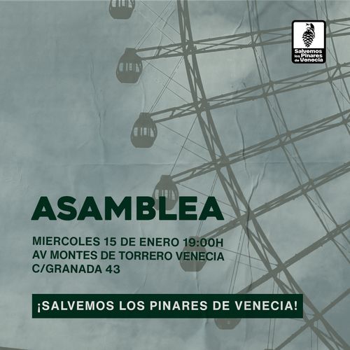 Asamblea: ¡Salvemos lo Pinares de Venecia!