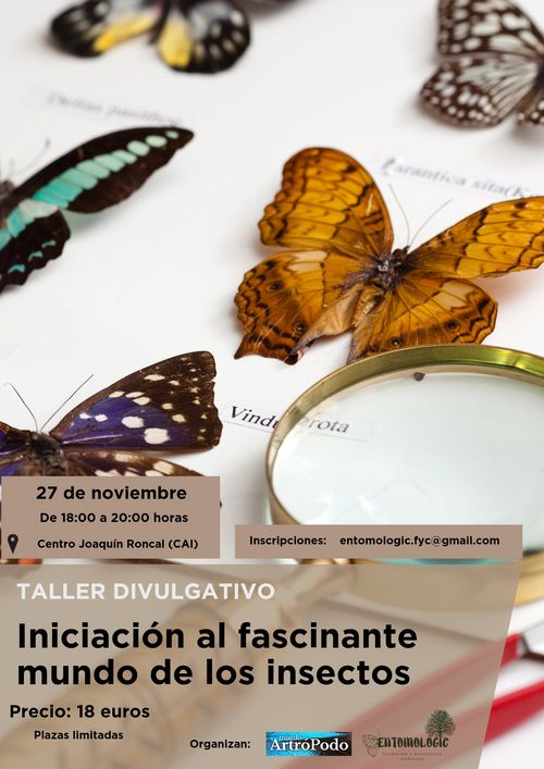 Introducción al fascinante Mundo de los insectos