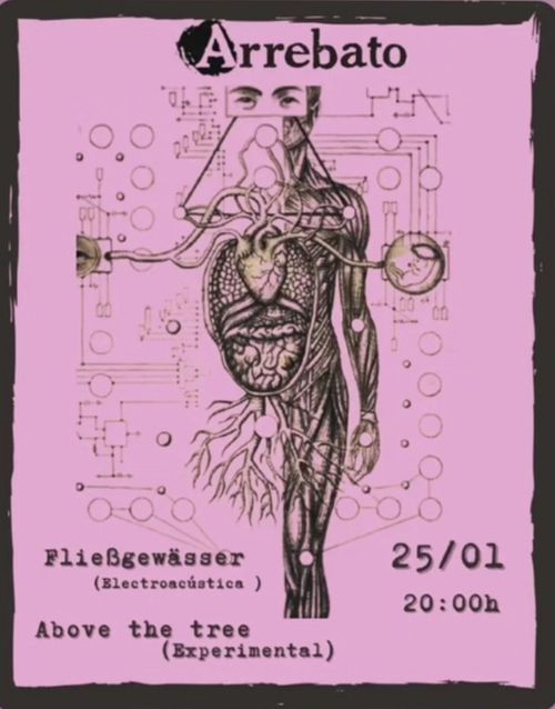 Concierto: Fliebgewässer + Above the tree
